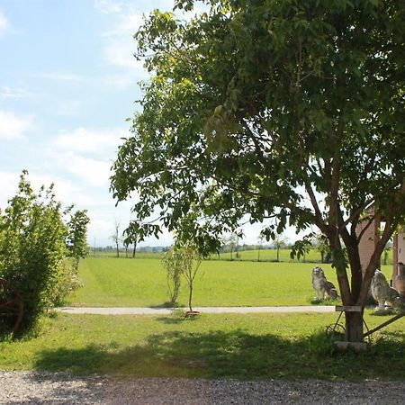 New Flowers Farm B&B Noceto Ngoại thất bức ảnh