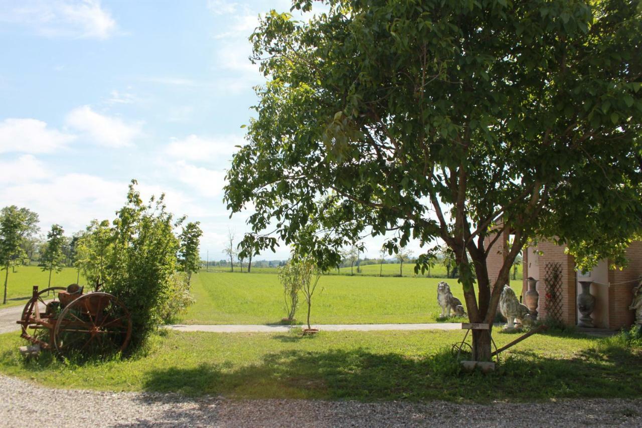 New Flowers Farm B&B Noceto Ngoại thất bức ảnh